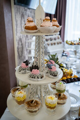 Wedding sweets, decorated tables, decorations and cupcakes, delicious meat and delicacies