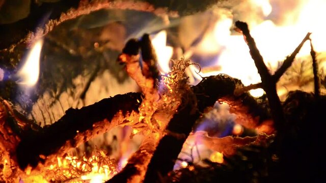 embers burn out in a fire of fir wood