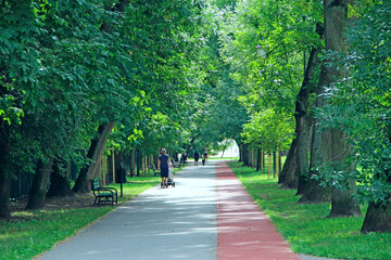 People walking in summer city park with big trees. Family relaxing
