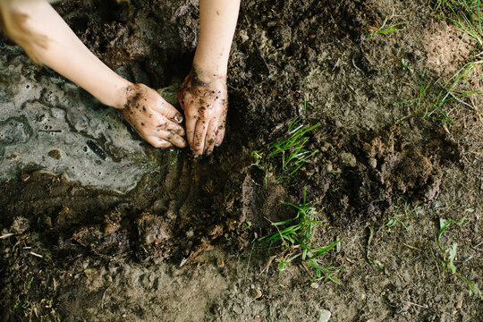 girl's hands playing the mud