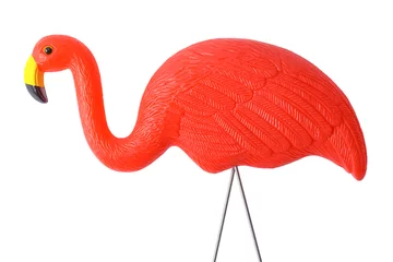 Selbstklebende Fototapeten Yard Flamingo © pixelrobot
