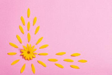 yellow flowers on pink paper background