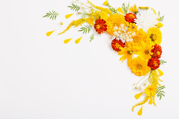 yellow and orange flowers on white background