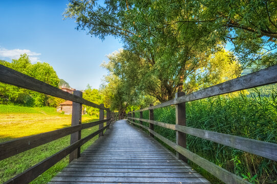 Wooden footbridge in the country