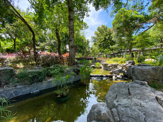 Fototapeta na wymiar Chinese pond in the park