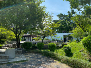 Chinese garden in the park