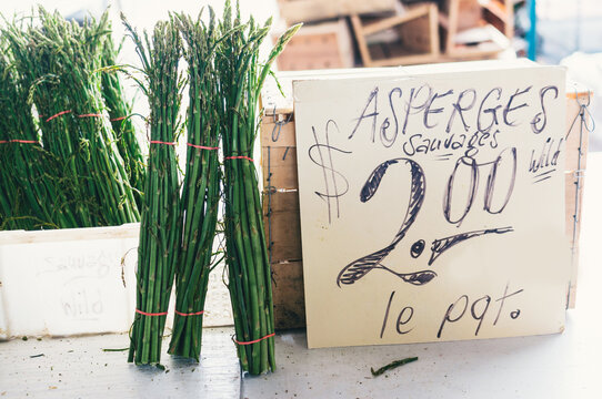 Wild asparagus bundles for sale at an outdoor market