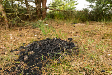 Illegale Feuerstelle an einem See im Naturschutzgebiet