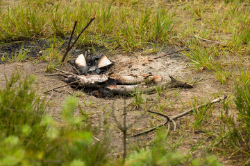 Illegale Feuerstelle an einem See im Naturschutzgebiet