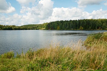 The view of a pond in the countryside in summer with trees and grass.