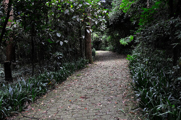 green way