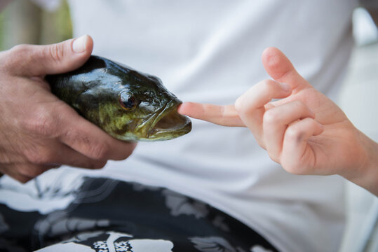 Man holds dead fish while child feels the teeth inside its mouth