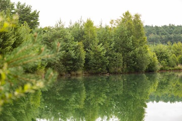 See im Sandabbaugebiet mit Kiefern am Ufer