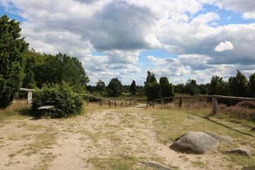 Wanderweg auf dem Wilseder Berg in der Lüneburger Heide