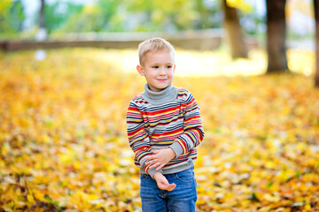 portrait of a boy in the open air. Cute boy walking in the autumn Park. The child looks at the camera with a smile.