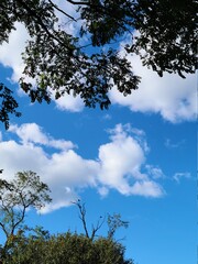 Landscape, cloudscape, blue sky 