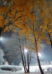 Changing seasons from autumn to winter in mid-norway