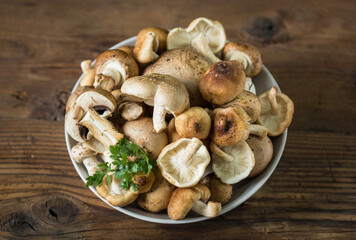 Different edible mushrooms on the wooden table