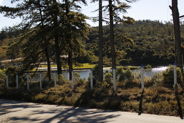 autumn landscape with trees