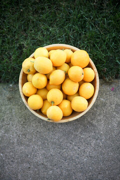 Bowl of meyer lemons
