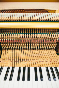 Mechanism of a piano keyboard