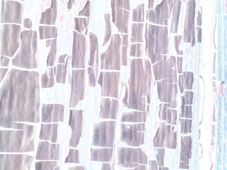Pastel Background Texture Wood. Crack Material. 
