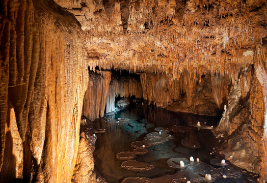 Lily Pad Formations Inside a Missouri Cave