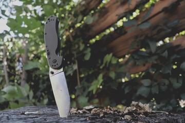 garden tools in the garden