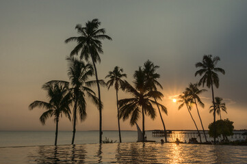 sunset on the beach with palm trees