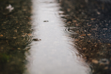 small rain droplets hitting a puddle