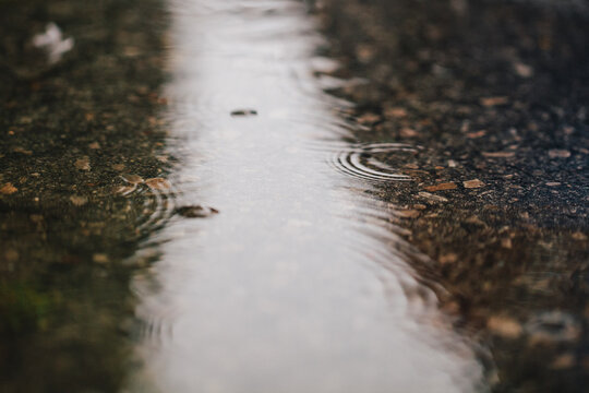 small rain droplets hitting a puddle