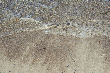 Meer, Wasser, Strand, See, Ostsee, Muscheln