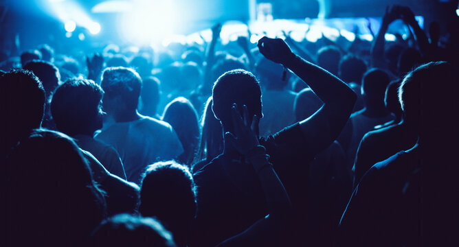 Concert crowd at live music festival