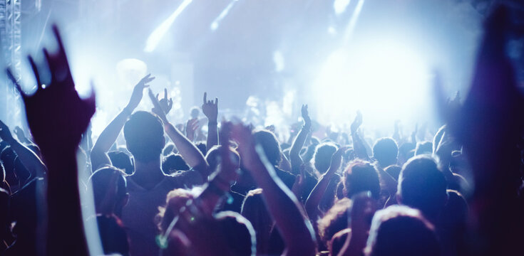 Concert crowd at live music festival