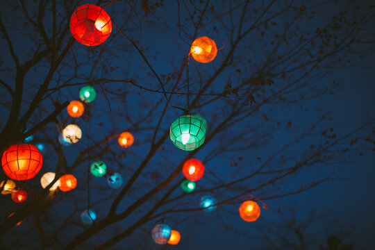 A tree decorated with colorful lanterns in December