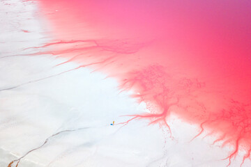 Obraz premium Amazing forms of land surface made of water and salt, nature abstract background, aerial view. Pink extremely salty Syvash Lake also known as Putrid Sea or Rotten Sea