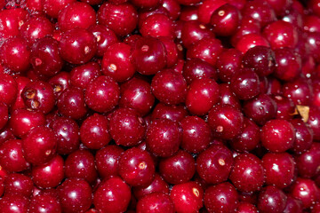 Many fresh cherry berries with water drops, close-up. Heap of ripe cherries in the water. Ripe cherry texture background top view.