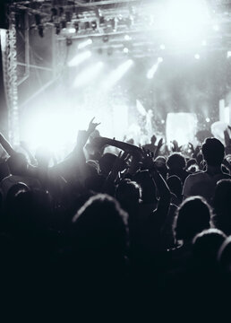 Concert crowd at live music festival
