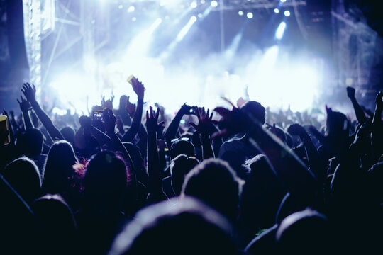 Concert crowd at live music festival