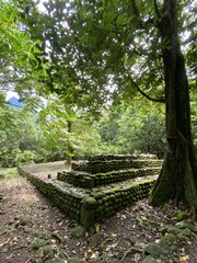 Marae (lieu de culte polyn&eacute;sien) dans la jungle &agrave; Moorea, Polyn&eacute;sie fran&ccedil;aise