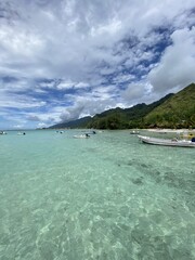 Lagon de Moorea, Polynésie française