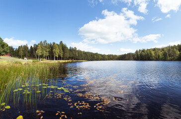 Scandinavian Lake & Forest