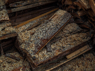 Sticks, boards, wooden logs wooden with knots and sawdust on the sawmill industrial sawing of trees. Background, texture.