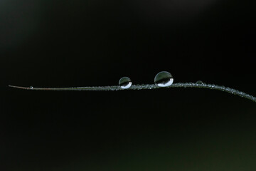 Gotas