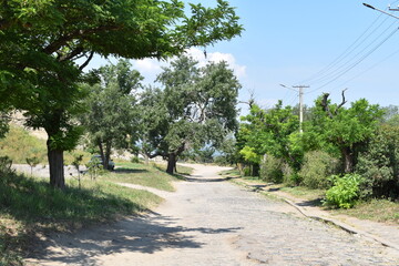 Obraz premium street in the city