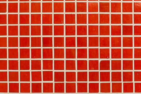 Red tiles as background.