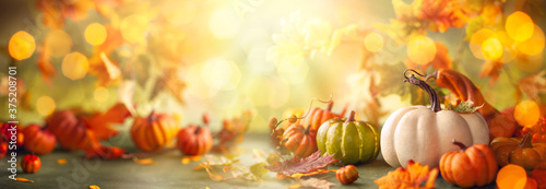 Festive autumn decor from pumpkins, berries and leaves. Concept of Thanksgiving day or Halloween with copy space