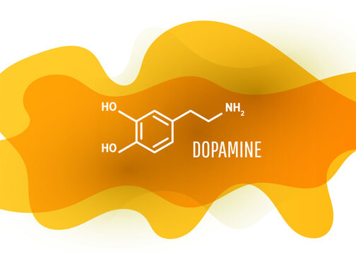 Dopamine structural chemical formula vector.