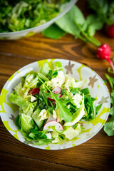 Spring salad from early vegetables, lettuce leaves, radishes and herbs in a plate on the table