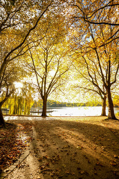 Autumn In The Park